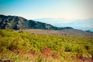 Pink wildflowers in foreground with layered mountain ridges extending toward Inferno Valley, Mount Vesuvius, Ottaviano, Italy