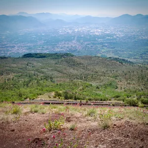 Panoramic view from Mount Vesuvius showing Naples valley with urban sprawl, distant mountains, freight train, and pink wildflowers in foreground