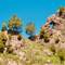 Natural rock arch formation in weathered volcanic stone with pine trees and vegetation growing on rocky outcrops against blue sky, Ottaviano, Italy