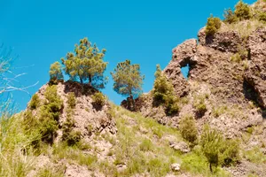 Natural rock arch formation in weathered volcanic stone with pine trees and vegetation growing on rocky outcrops against blue sky, Ottaviano, Italy