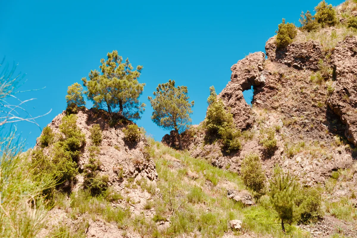 Natural rock arch formation in weathered volcanic stone with pine trees and vegetation growing on rocky outcrops against blue sky, Ottaviano, Italy