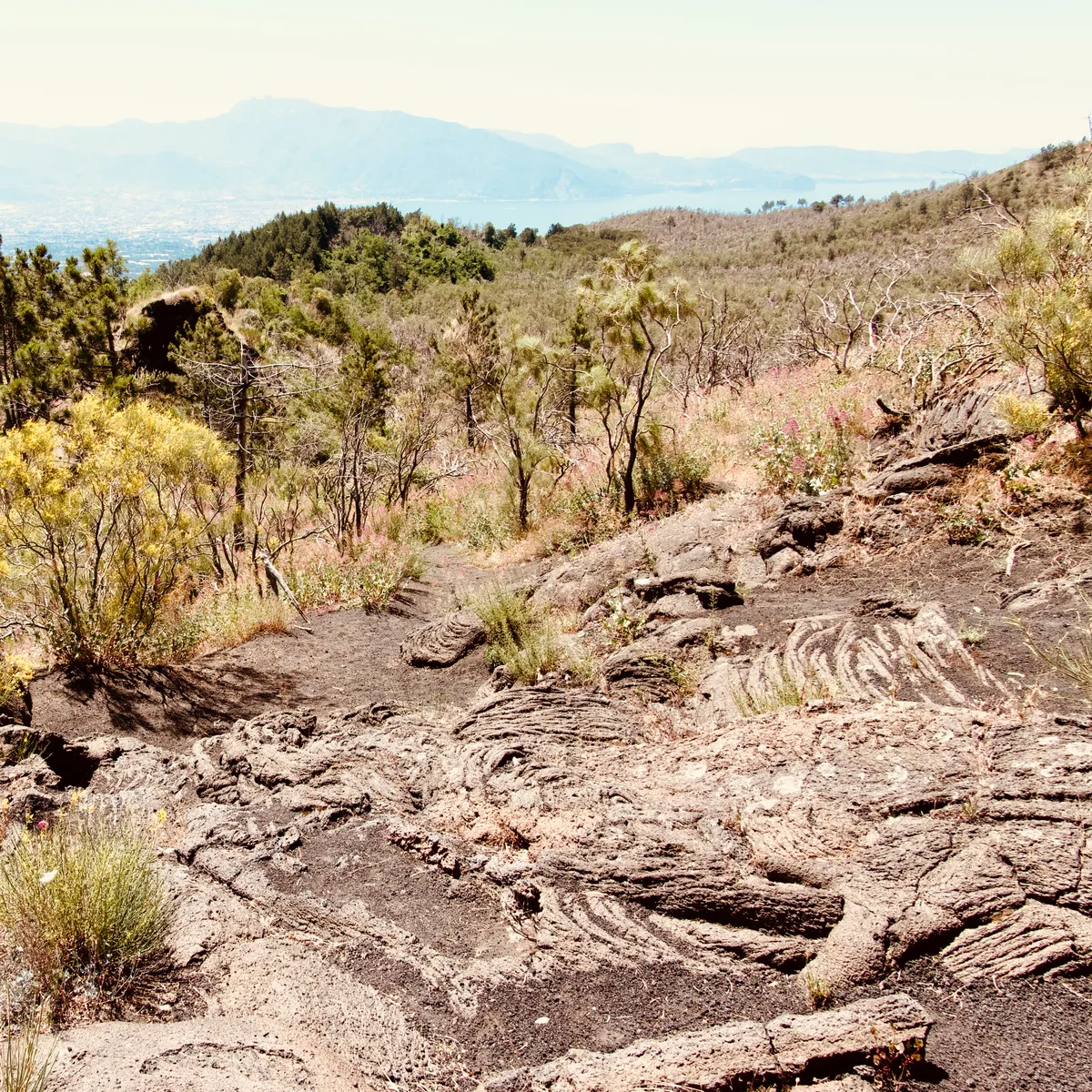 Layered volcanic rock formations with stratified stone terraces and Mediterranean vegetation growing throughout, mountains visible in background, Ottaviano, Italy