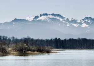 Snow-capped Kampenwand mountains rising through mist above Chiemsee lake with flooded shoreline vegetation in foreground, Bavaria, Germany