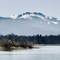 Snow-capped Kampenwand mountains rising through mist above Chiemsee lake with flooded shoreline vegetation in foreground, Bavaria, Germany