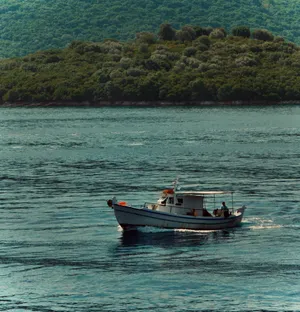 White and blue Greek fishing boat traveling through calm turquoise water with densely forested green hills in background, Poros, Greece