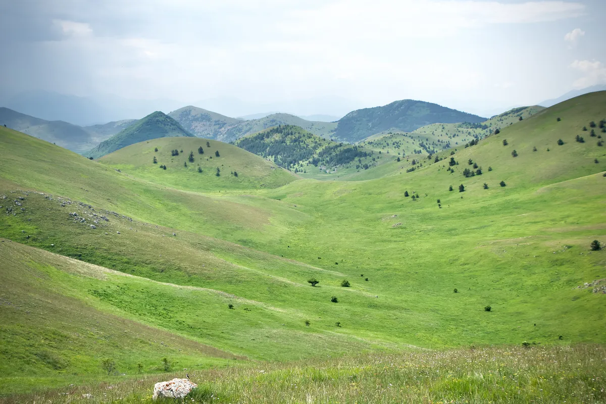 Expansive green rolling hills with scattered trees leading to forested mountains under cloudy sky in Campo Imperatore, Abruzzo, Italy
