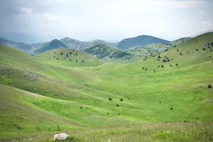 Expansive green rolling hills with scattered trees leading to forested mountains under cloudy sky in Campo Imperatore, Abruzzo, Italy