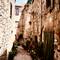 Narrow cobblestone alley in Bolsena, Italy with weathered stone walls, potted plants, laundry hanging, and traditional doorways