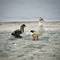 Adult duck with speckled white plumage and two dark fuzzy ducklings walking on sandy beach at Lake Bolsena, Italy