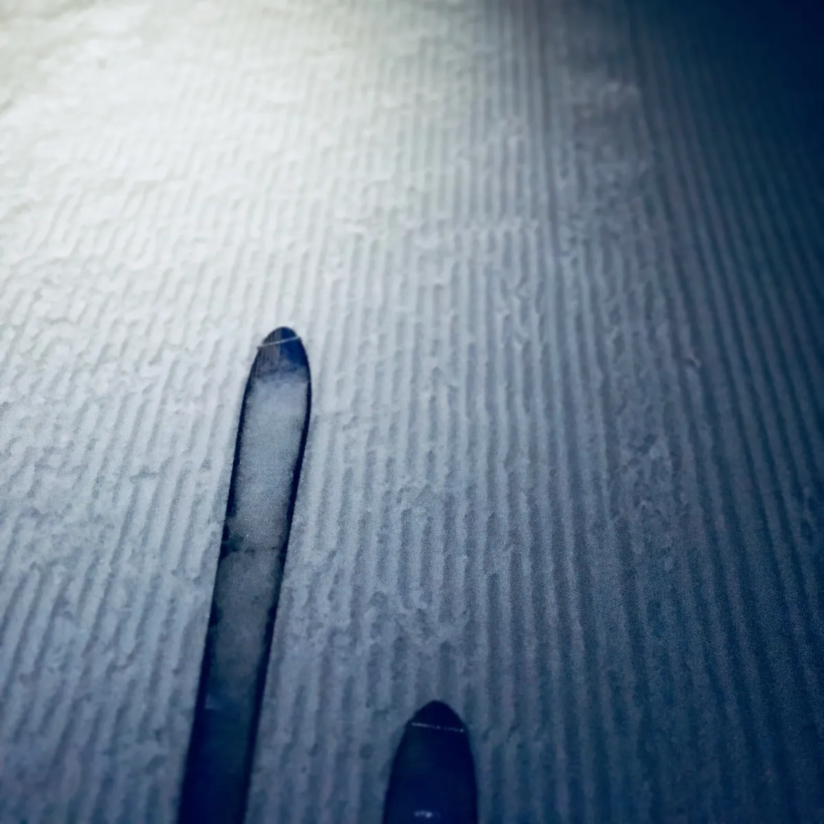 Tips of backcountry skis on groomed snow slope with corduroy texture pattern, taken during uphill ski touring in Austrian Alps