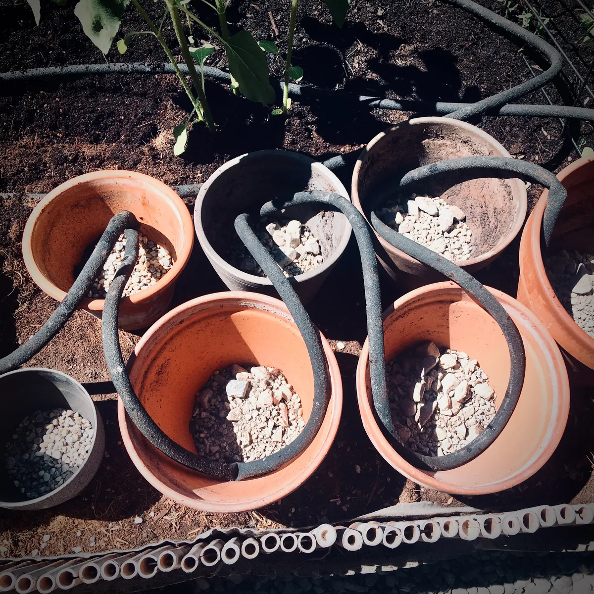 Multiple terracotta pots with white drainage stones and black soaker hoses arranged on soil for garden irrigation system in Erlau, Austria