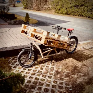 Riese & Müller cargo bike loaded with wooden pallets on wooden platform, parked on cobblestone driveway in residential area