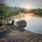 Brown terrier dog on leash standing on rocky shoreline at misty lake during sunrise, with bright sun creating golden reflections on water and mountains silhouetted in background at Achenloch lake, Austria