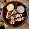 Seafood skewers with calamari and shrimp cooking on round charcoal grill with flatbread at camping site in Bibbona, Italy
