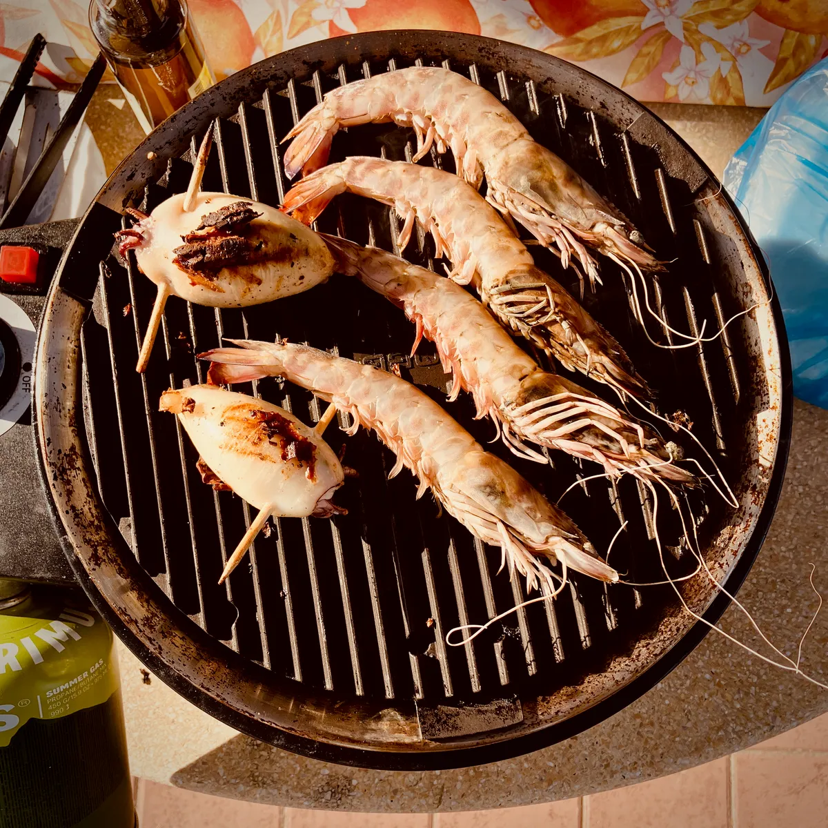 Large langoustines and stuffed calamari cooking on round grill grate at camping site in Bibbona, Italy