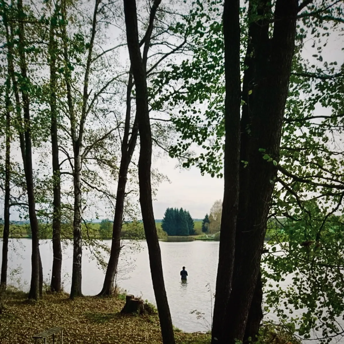 Person standing in calm lake water viewed through birch trees, with forested hills in background at Dobechov, Czech Republic