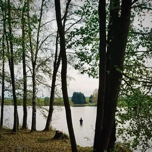 Person standing in calm lake water viewed through birch trees, with forested hills in background at Dobechov, Czech Republic