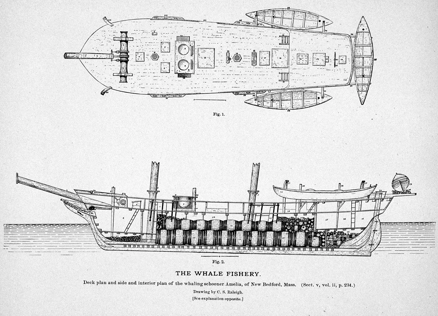 Deck plan and interior plan of whaling schooner Amelia of New Bedford, Massachusetts